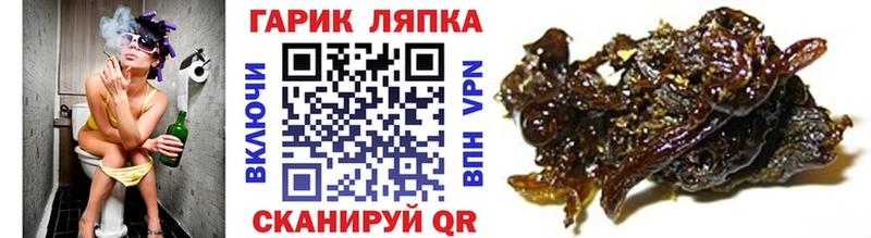 ГАШ Cannabis  Фокино 