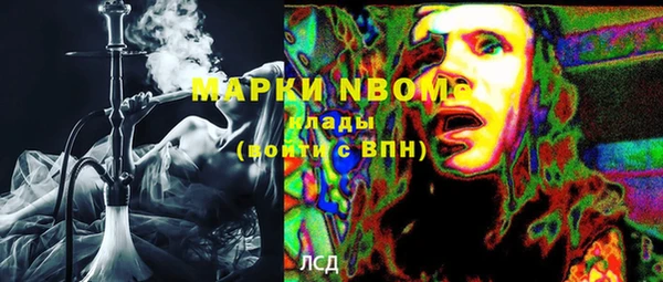 PSILOCYBIN Лихославль