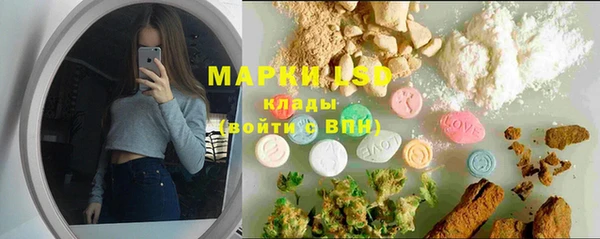 PSILOCYBIN Лихославль