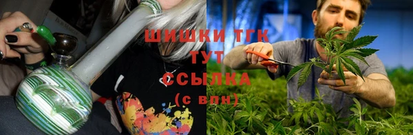 PSILOCYBIN Лихославль