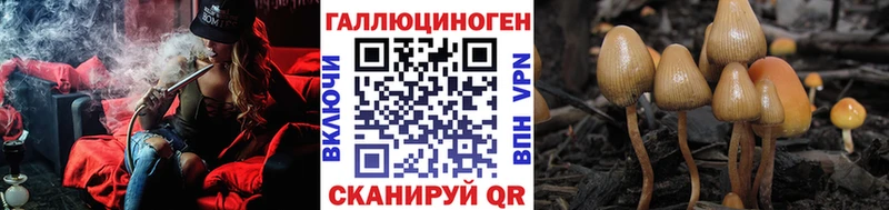 omg tor  Фокино  Галлюциногенные грибы прущие грибы  наркота 